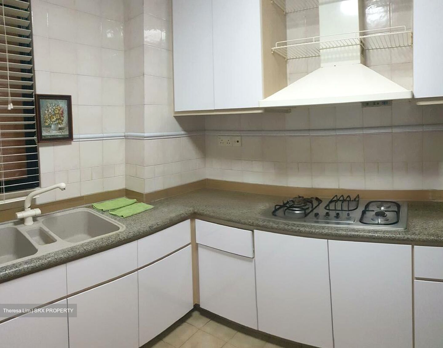 Dover Parkview (D5), Condominium #458035971